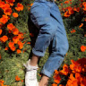 Meet your Posher, Piper